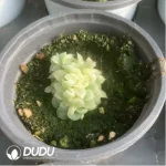 Echeveria Yuzhu Variegated - Image 3