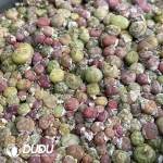 Conophytum Green Hybrid (One Tray)