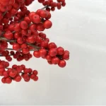 Europe Hongguo holly Oosterwijk - Image 4