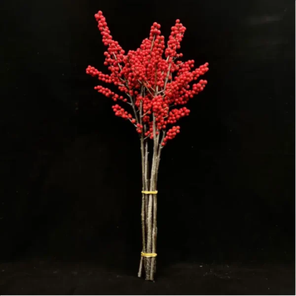 Europe Hongguo holly Oosterwijk - Image 6