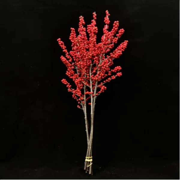 Europe Hongguo holly Oosterwijk - Image 6