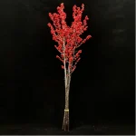 Europe Hongguo holly Oosterwijk - Image 6