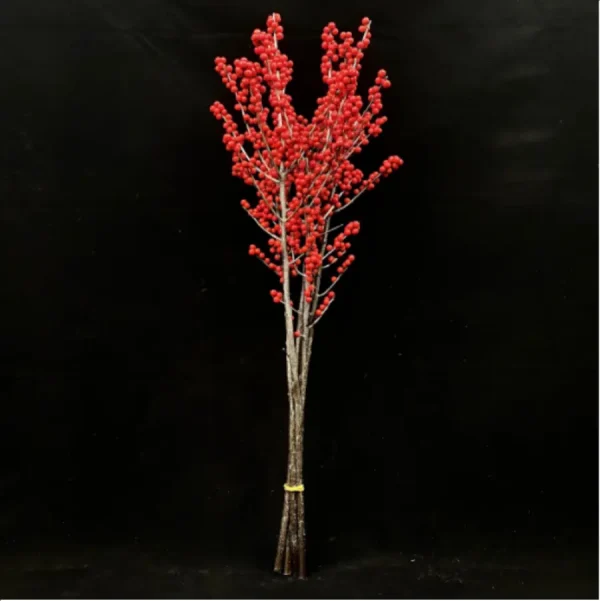 Europe Hongguo holly Oosterwijk - Image 6