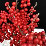 Europe Hongguo holly Oosterwijk