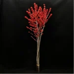 Europe Hongguo holly Oosterwijk - Image 8