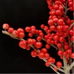 Europe Hongguo holly Oosterwijk - Image 3