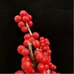 Europe Hongguo holly Oosterwijk - Image 6