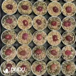 Conophytum Maughanii - Image 2