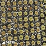 40pcs Lithops C38A - Image 2