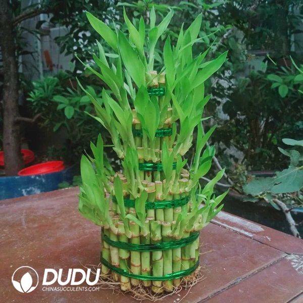 Bamboo tower with five big floors - Image 1