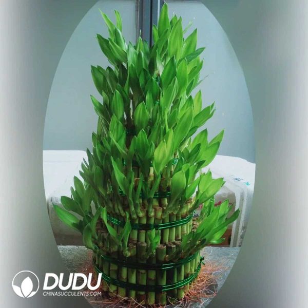 Bamboo tower with seven big floors - Image 1