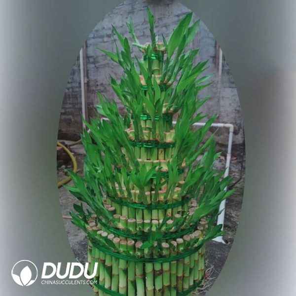 Bamboo tower with eight big floors - Image 1