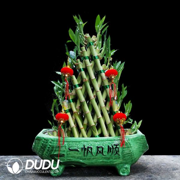 Pyramid shape Lucky Bamboo (7 layers) - Image 1