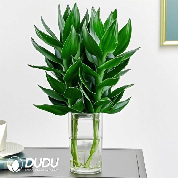 3 Guanyin bamboo pieces - Image 1