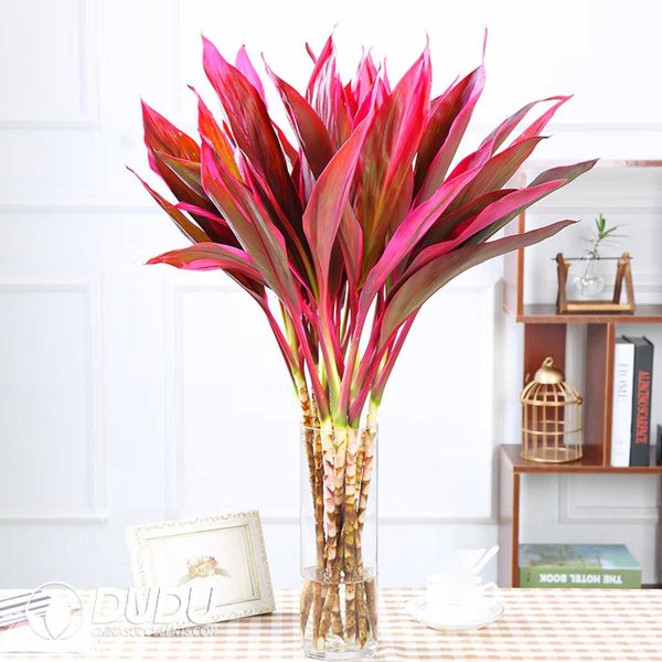 Purple leaf bamboo, 60-70 cm, 10 pieces - Image 1