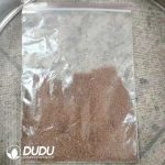 500Pcs Gymnocalycium stenopleurum Variegated Seeds