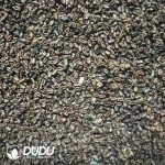 500Pcs Cactus Frailea castanea v. nitens Seeds