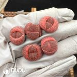 Lithops Bromfieldii var. glaudinae purple C393A (1000+ pcs)