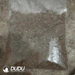 500Pcs Cactus-Gymnocalycium vatteri Seeds