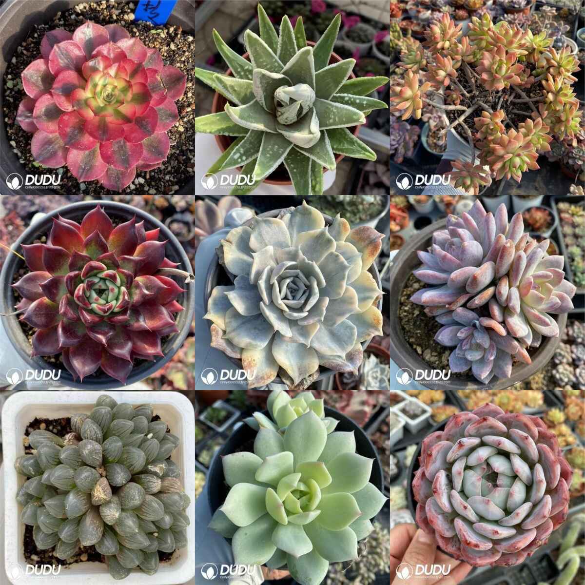 Blind20Boxes.jpg Promotional Blind Boxes Mix (45 pcs/box) - Image 1