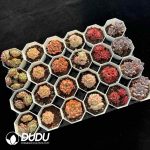 XX Echeveria Collocation 9 - Image 2