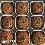 Echeveria Summer - Image 2
