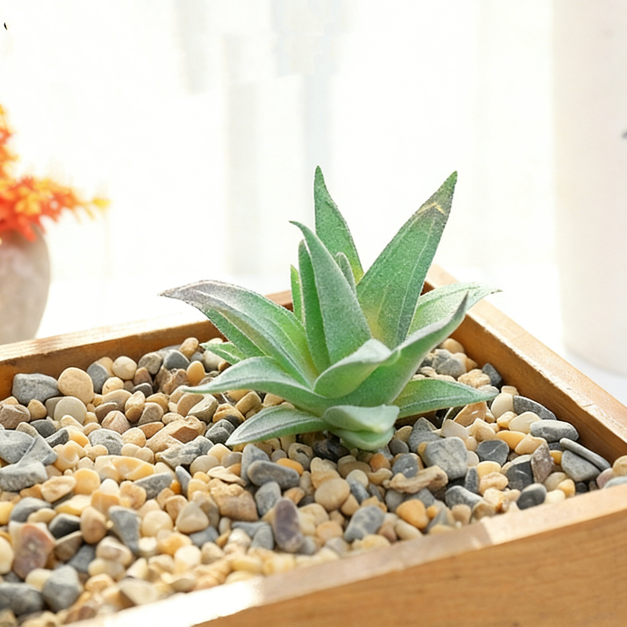 13.jpg Flocking green Aritificial succulent flower head creative DIY products - Image 1