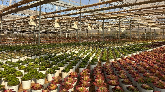 Climate Controlled Greenhouse